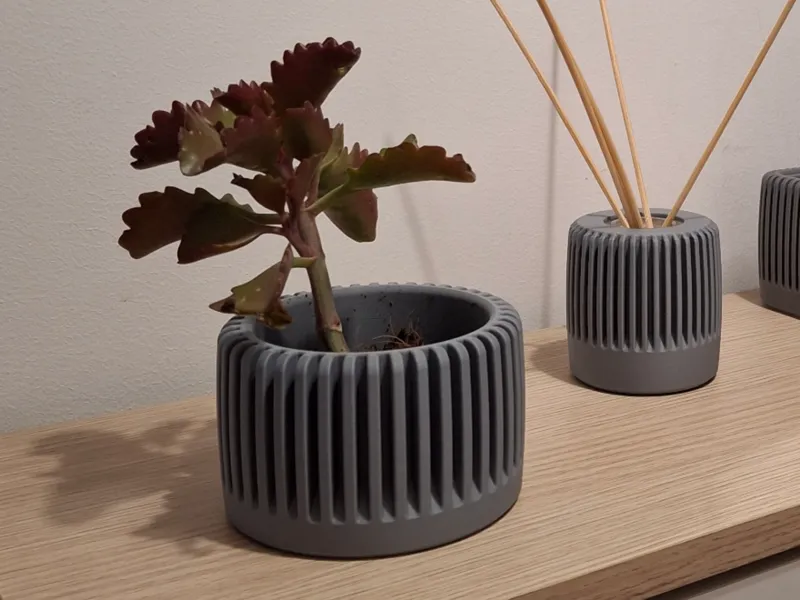 Maceta para plantas suculentas de diseño moderno.