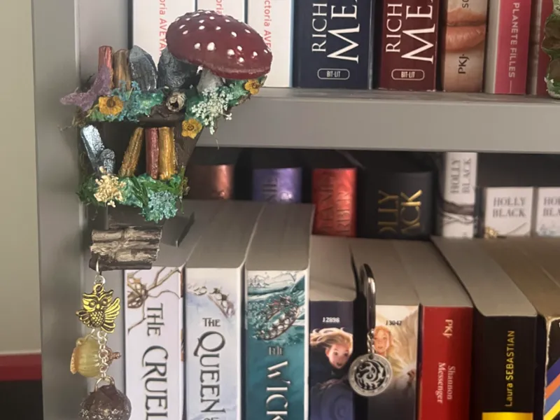 Décoration de bibliothèque