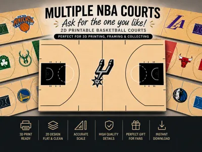 More than 30 NBA Basketball Courts