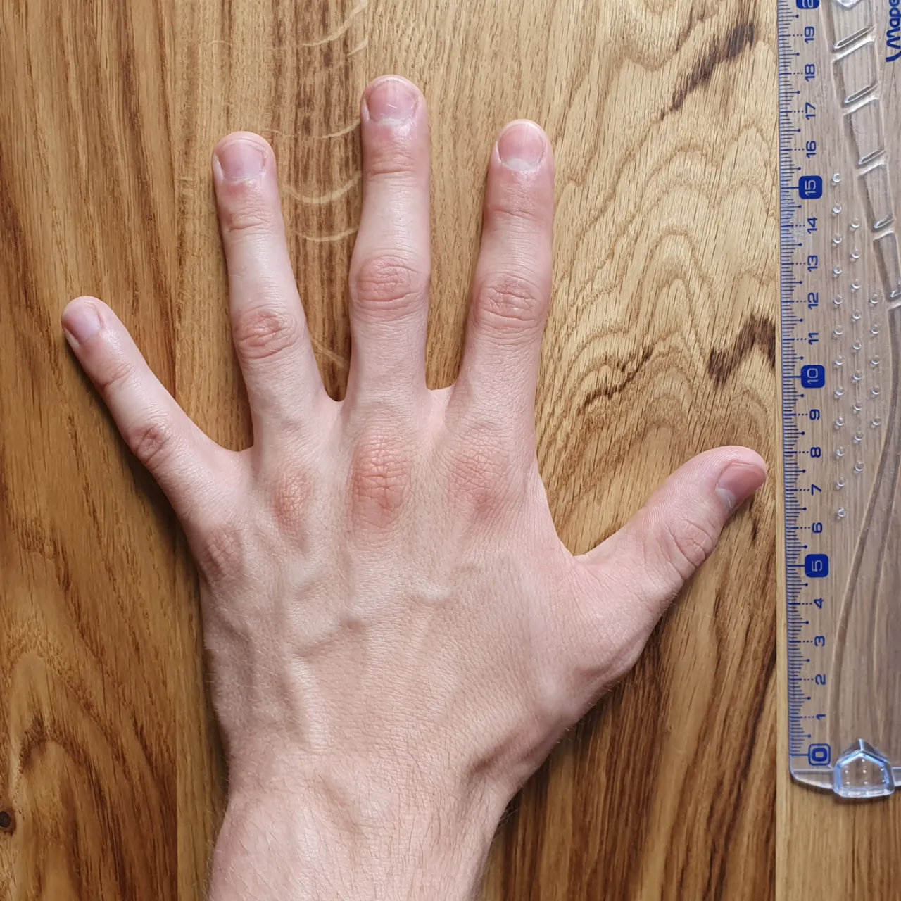 Hand Flippers view 3