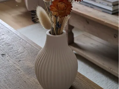 The Corduroy Vase