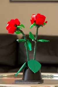 Rose Leaves