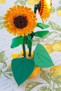 Sunflower Leaves