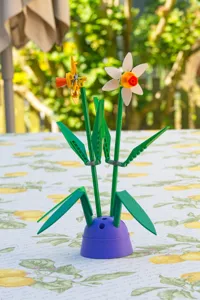 Daffodil leaves