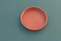 Plant saucer