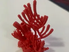 marmalade coral reef