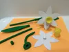 Daffodil & Stem-No AMS-Multicolor
