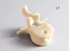 0.20mm layer, 2 walls, 15% infill