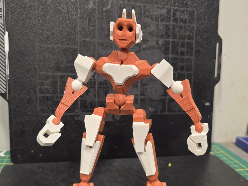 Robor R.A.V.