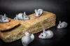Mouse - AMS - Quantity 6