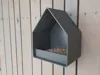 PETG