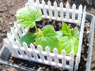 Garden mini fence