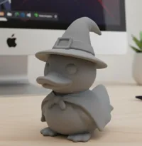 Canard sorcière décoratif — Halloween — photo 3