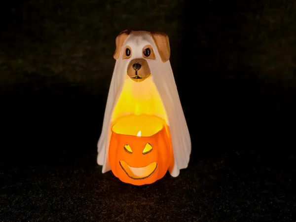 https://makerworld.bblmw.com/makerworld/model/UScb093b703c8362/design/2025-10-01_c00accb2fd855.jpg