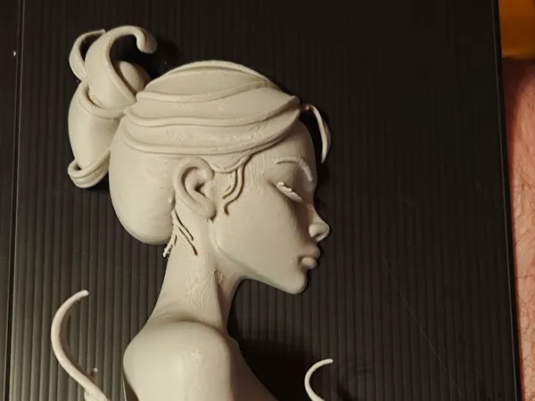 https://makerworld.bblmw.com/makerworld/model/UScb0e8f9b03fae7/design/2025-09-26_86315b77f3baf.jpg