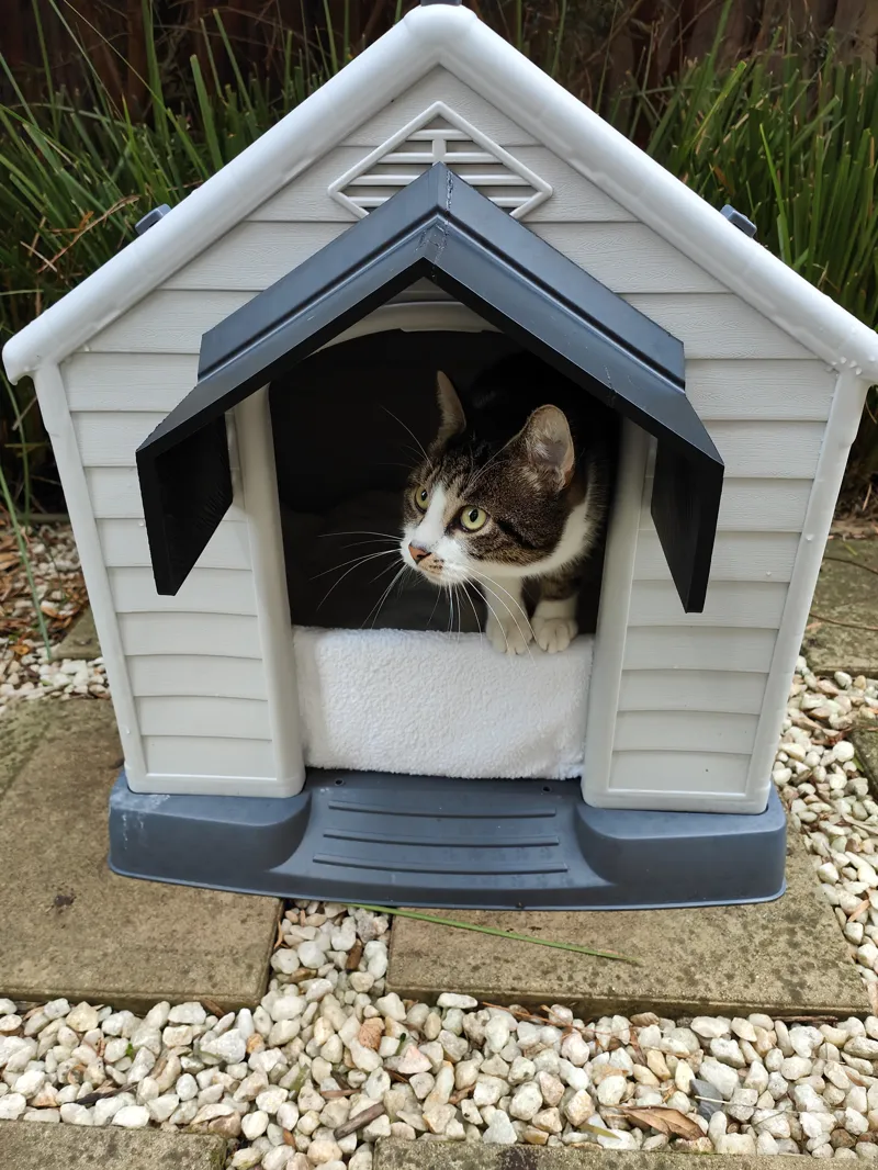 Pet house awning