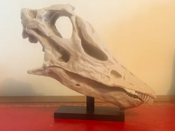 https://makerworld.bblmw.com/makerworld/model/UScb236c1980b5f0/design/2025-12-22_28c49234bbcff.jpg