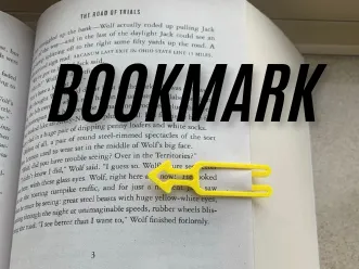 bookmark -  marks the sentence where you left off