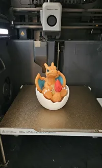 0.16mm layer, 2 walls, 8% infill