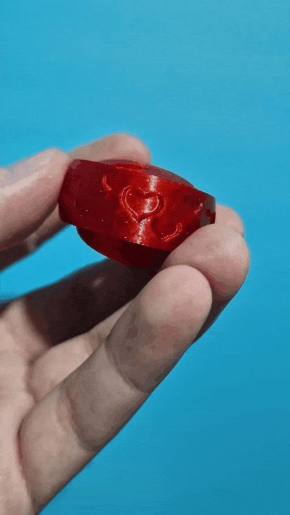 https://makerworld.bblmw.com/makerworld/model/UScb2aab15f31419/design/2025-01-24_eba9ce70268a58.gif