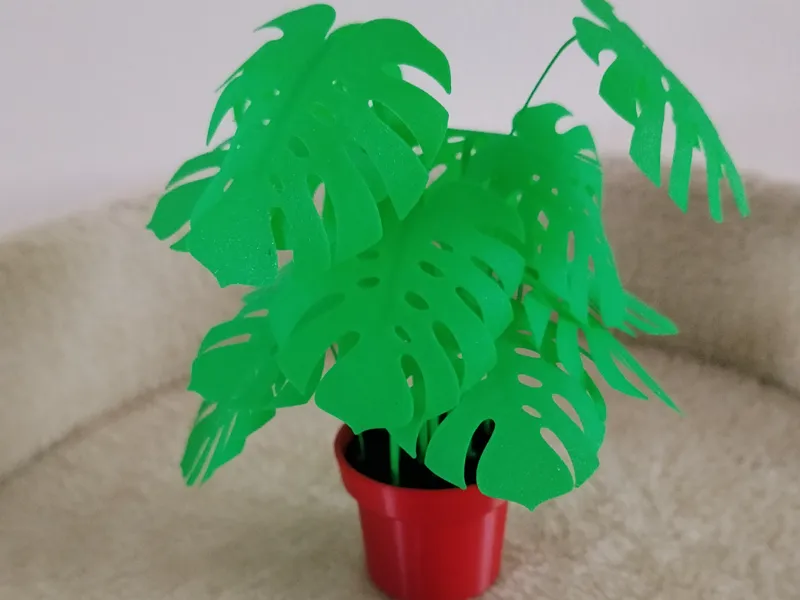 Monstera plant 1:6