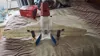 Wing PLA Aero