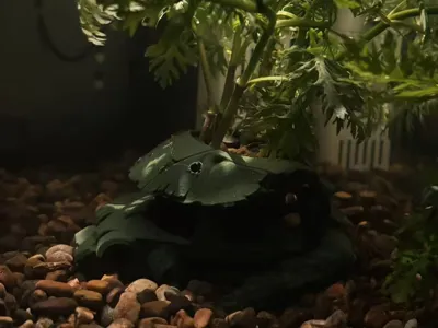 Battle-damaged Zaku Aquatic Plant Basket