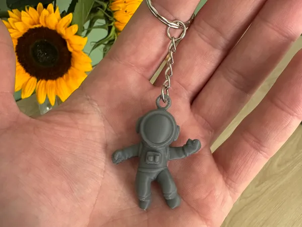 https://makerworld.bblmw.com/makerworld/model/UScb371bc747b1d/design/2025-09-06_a42c51bcb30568.jpeg