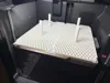 PS2, 0.2mm layer, 5 walls, 15% infill, with mouse ears