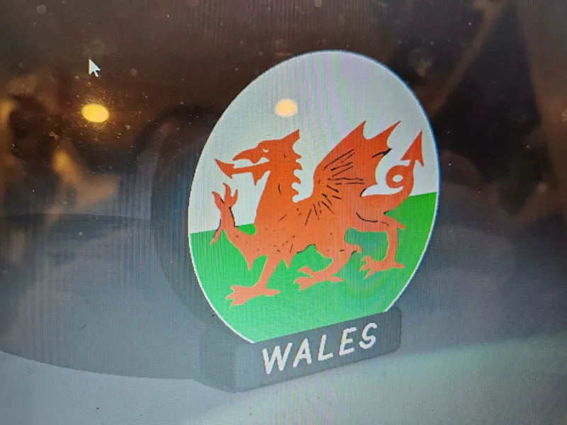 Welsh flag light box