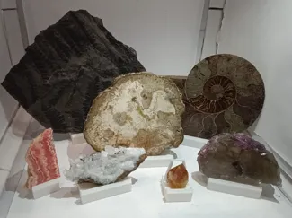 Espositore regolabile minerali-fossili-geodi 