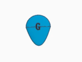 Guitar Pick with G on it