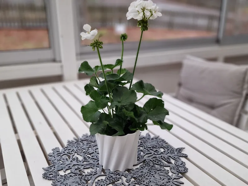 The flower pot