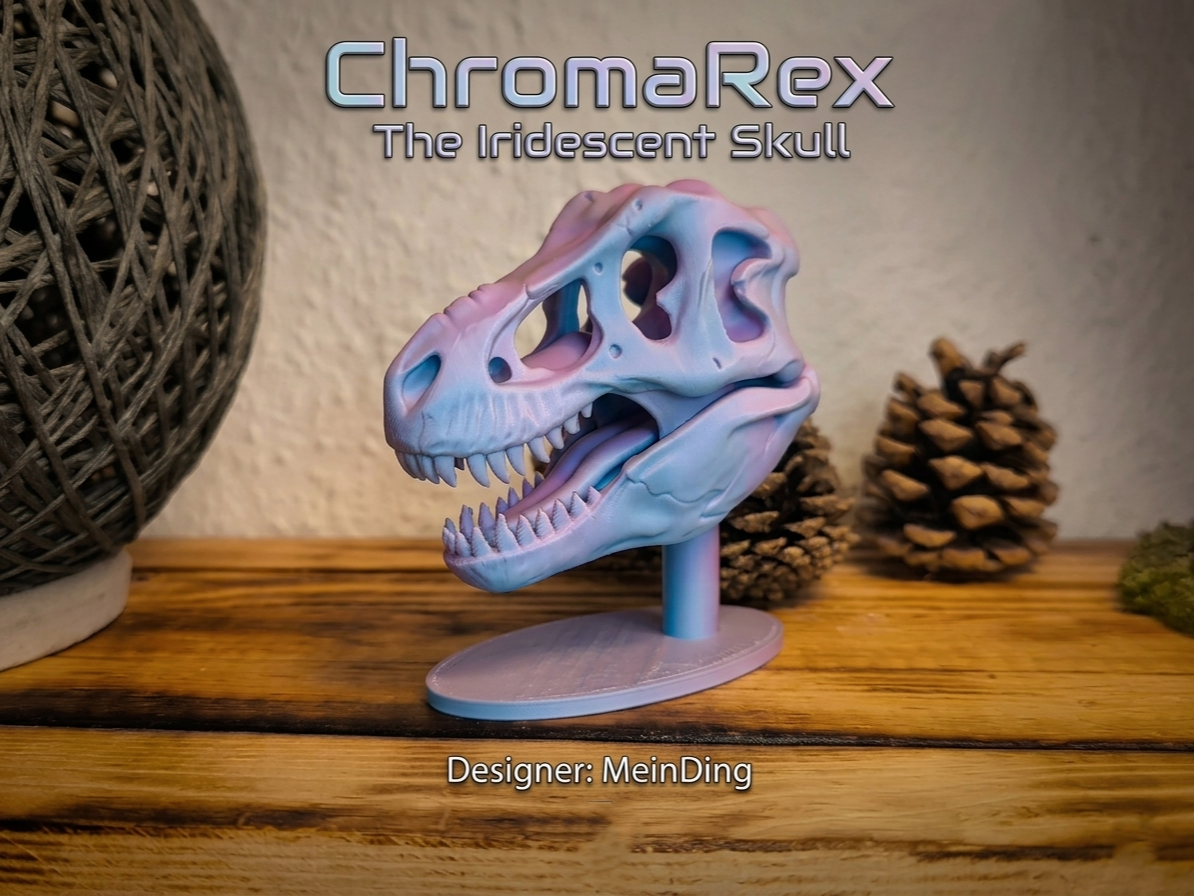 T-Rex : Skull 2 Teilig