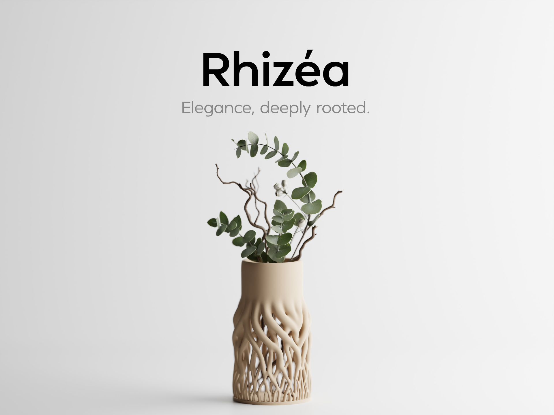 Rhizéa – Elegance, deeply rooted.