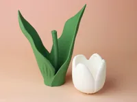 Tulip - multicolor (no AMS)