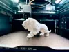 0.2mm layer, 2 walls, 5% infill