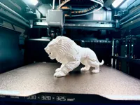 0.2mm layer, 2 walls, 5% infill