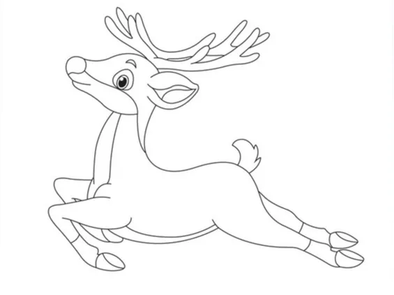 Reindeer