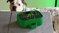 3 larger hole rendition