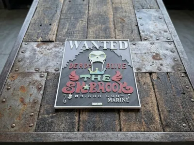 Brook Wanted Poster HueForge | No AMS 15x10cm 