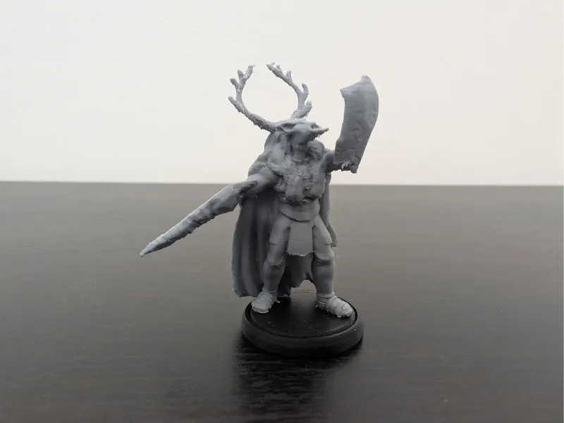 DnD Druid