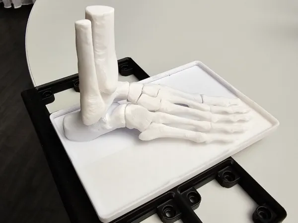https://makerworld.bblmw.com/makerworld/model/UScb62967cee880d/design/2024-07-05_6020c01687446.jpg