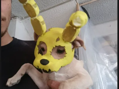 https://makerworld.bblmw.com/makerworld/model/UScb687480c08f88/design/7d56cc803571f3c8.png