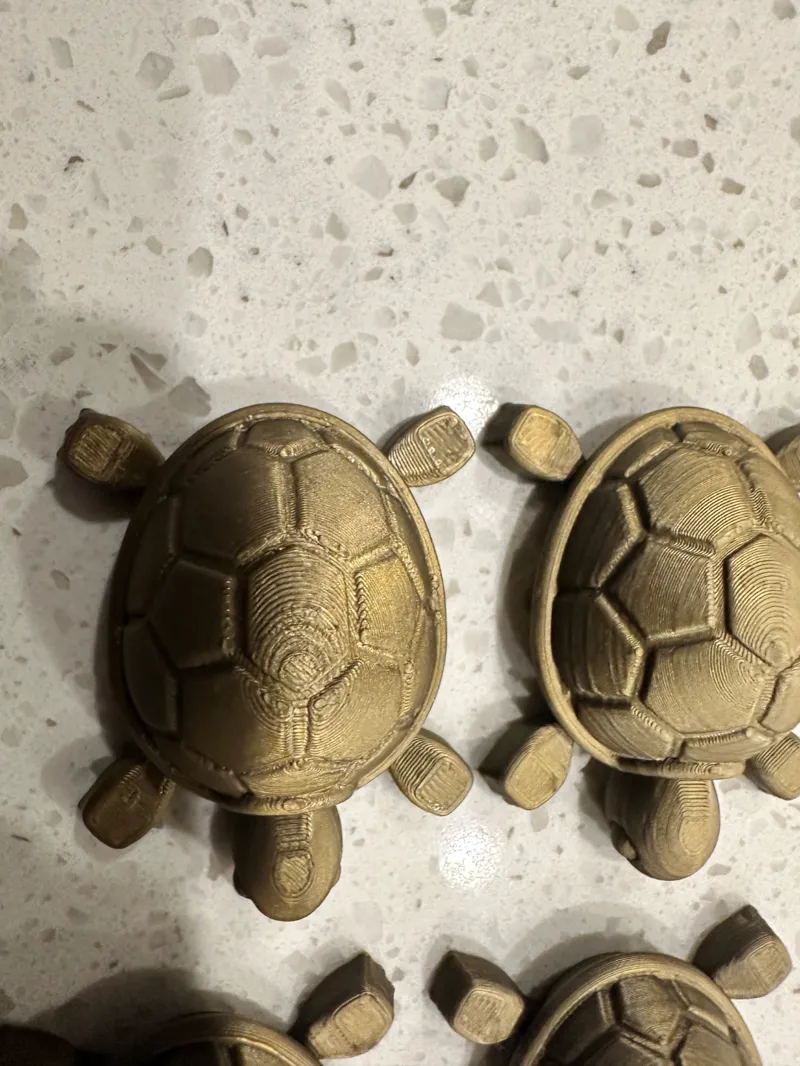 Cutie Baby Turtle - Various Settings