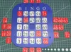 Visually Impaired & Blind People Bingo Card