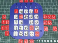 Visually Impaired & Blind People Bingo Card