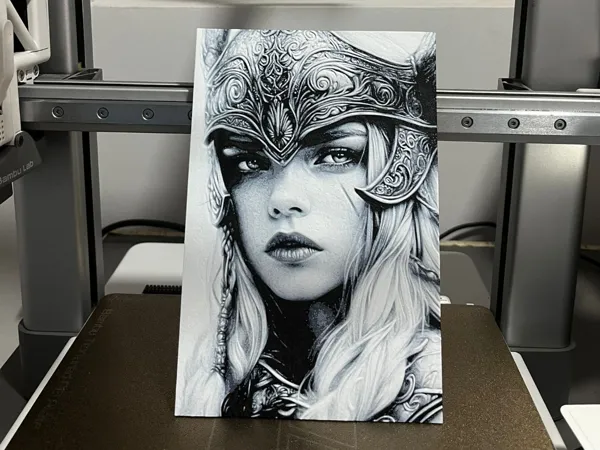 https://makerworld.bblmw.com/makerworld/model/UScb71e4726ce705/design/2025-06-02_7b22f67e88386.jpg