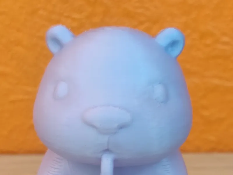 Capy