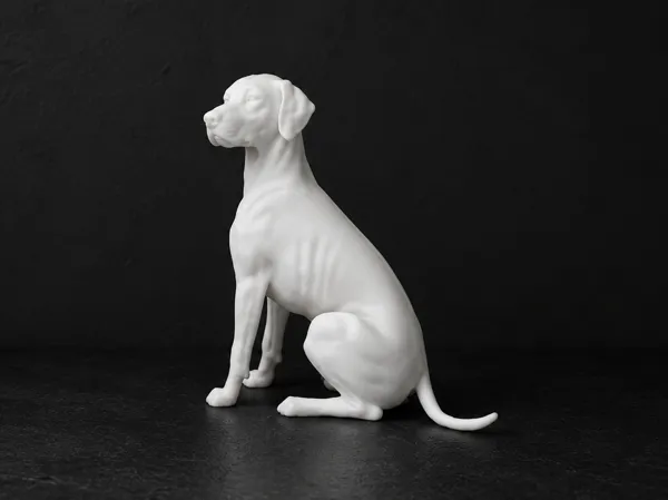 https://makerworld.bblmw.com/makerworld/model/UScb79f784356b4f/design/3dad740ac900712d.png
